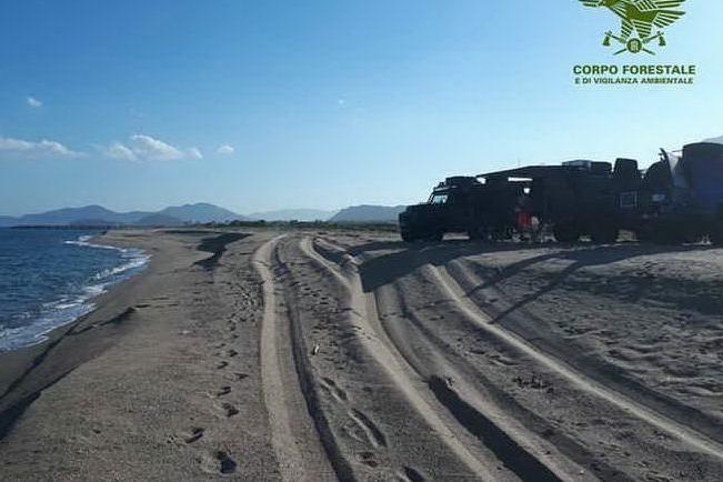 Deturpano le dune e arrivano in spiaggia col fuoristrada, multati tre turisti
