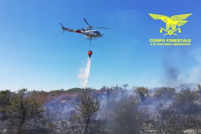 Lo spegnimento di un incendio, foto di repertorio