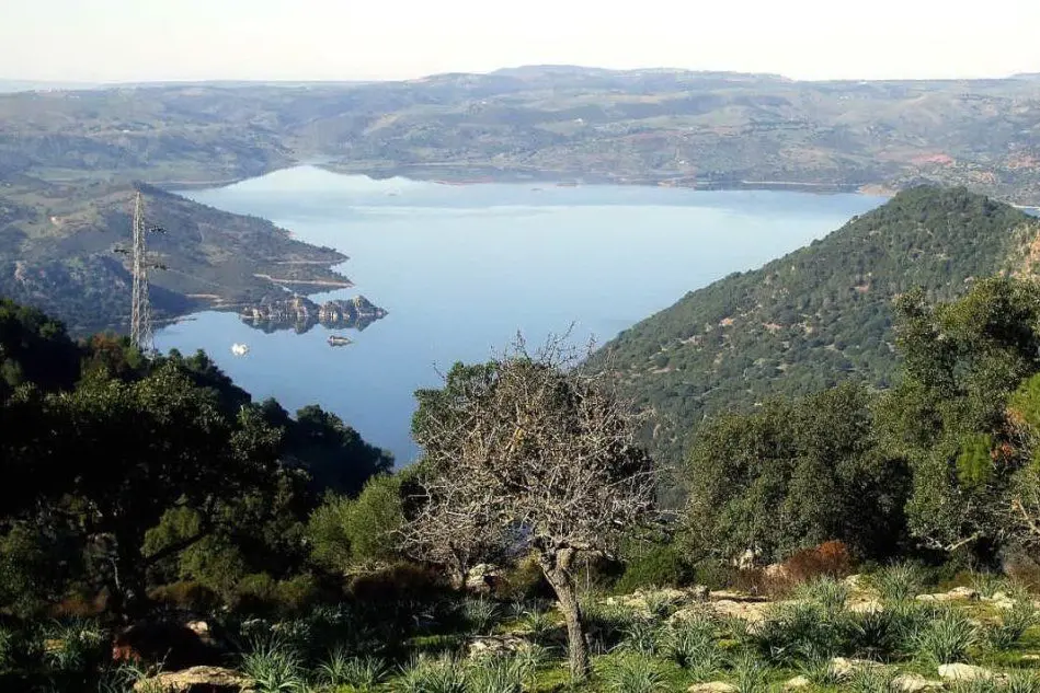 Il lago Mulargia a Siurgus Donigala (foto Severino Sirigu)