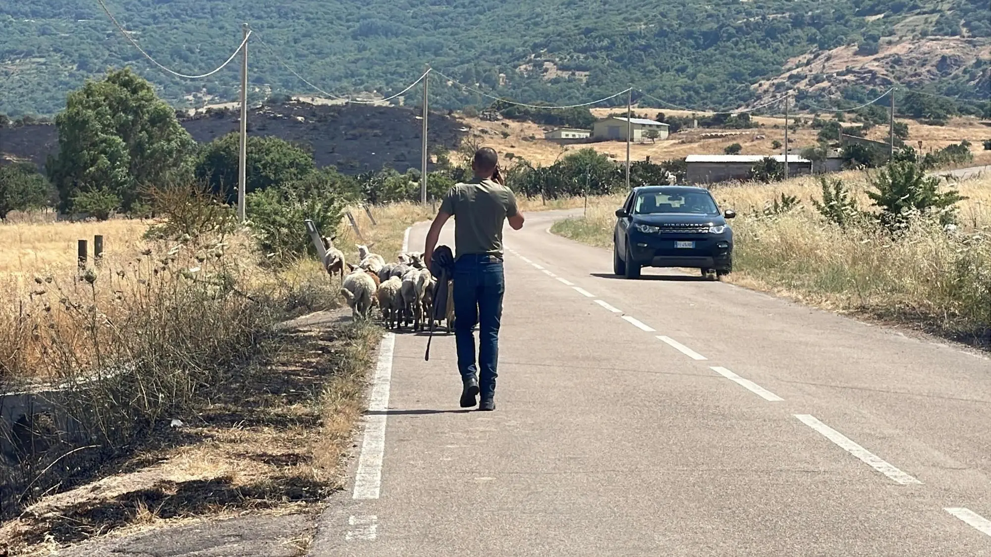 La strada nelle vicinanze dell'incendio scoppiato a Bonorva (foto Deidda)