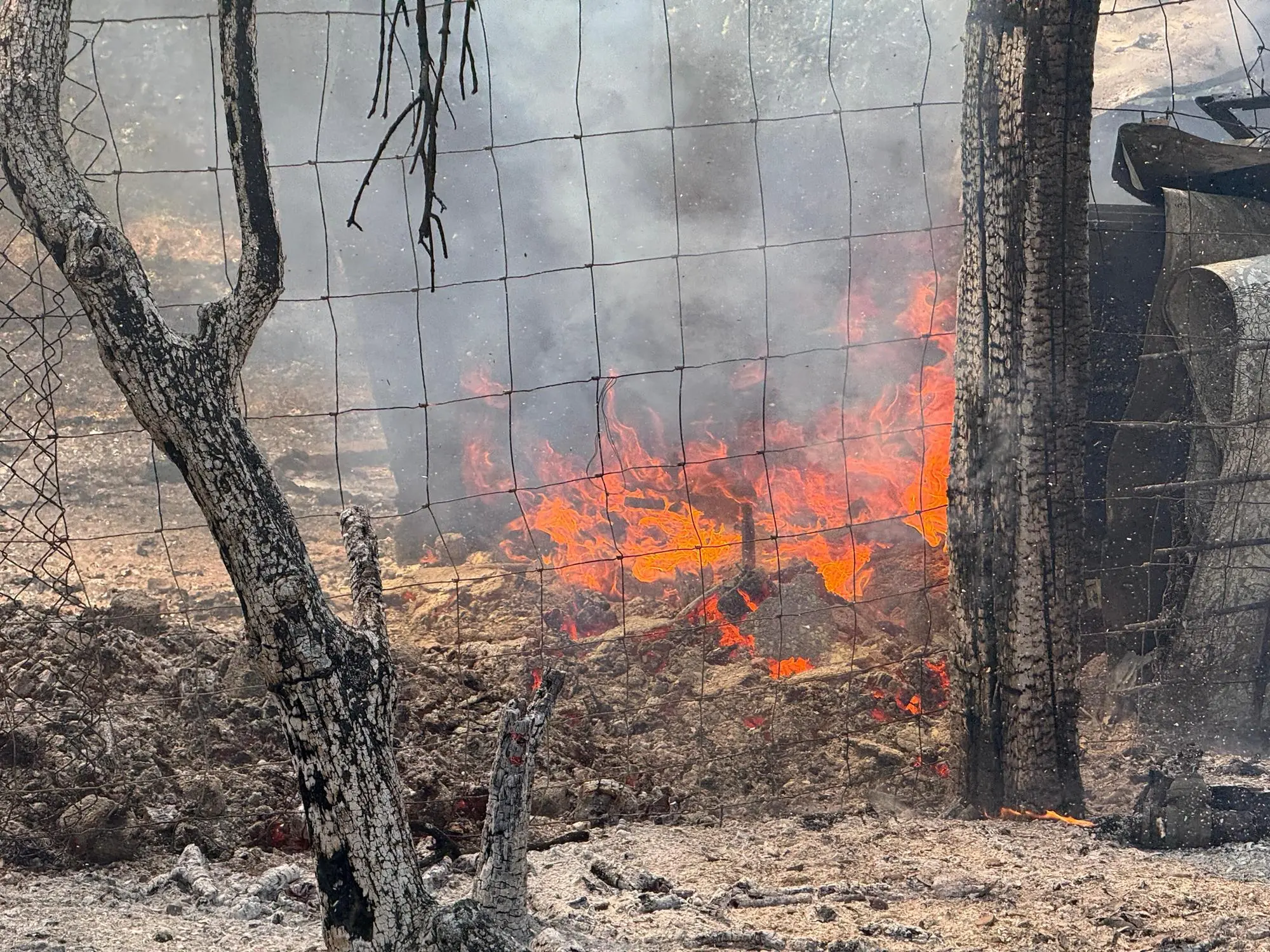 L'incendio a Riu Peis, Villacidro (foto Deidda)