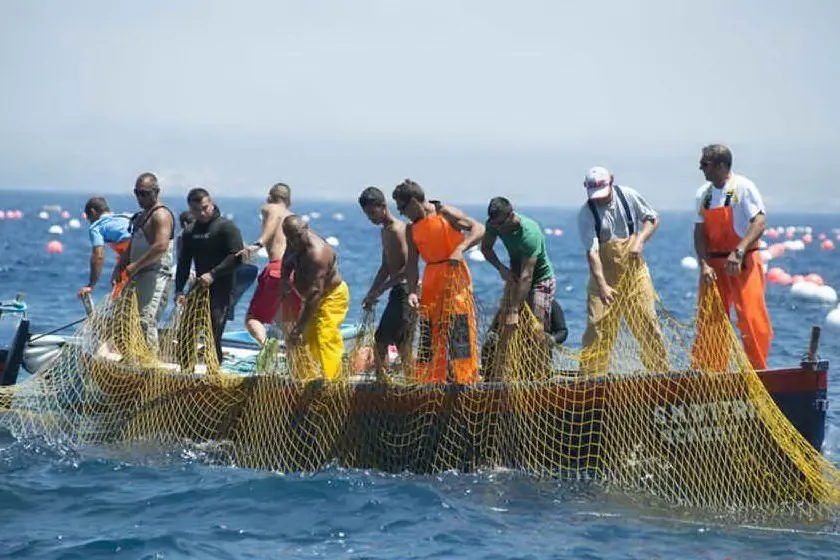 Pesca del tonno (foto L'Unione Sarda)