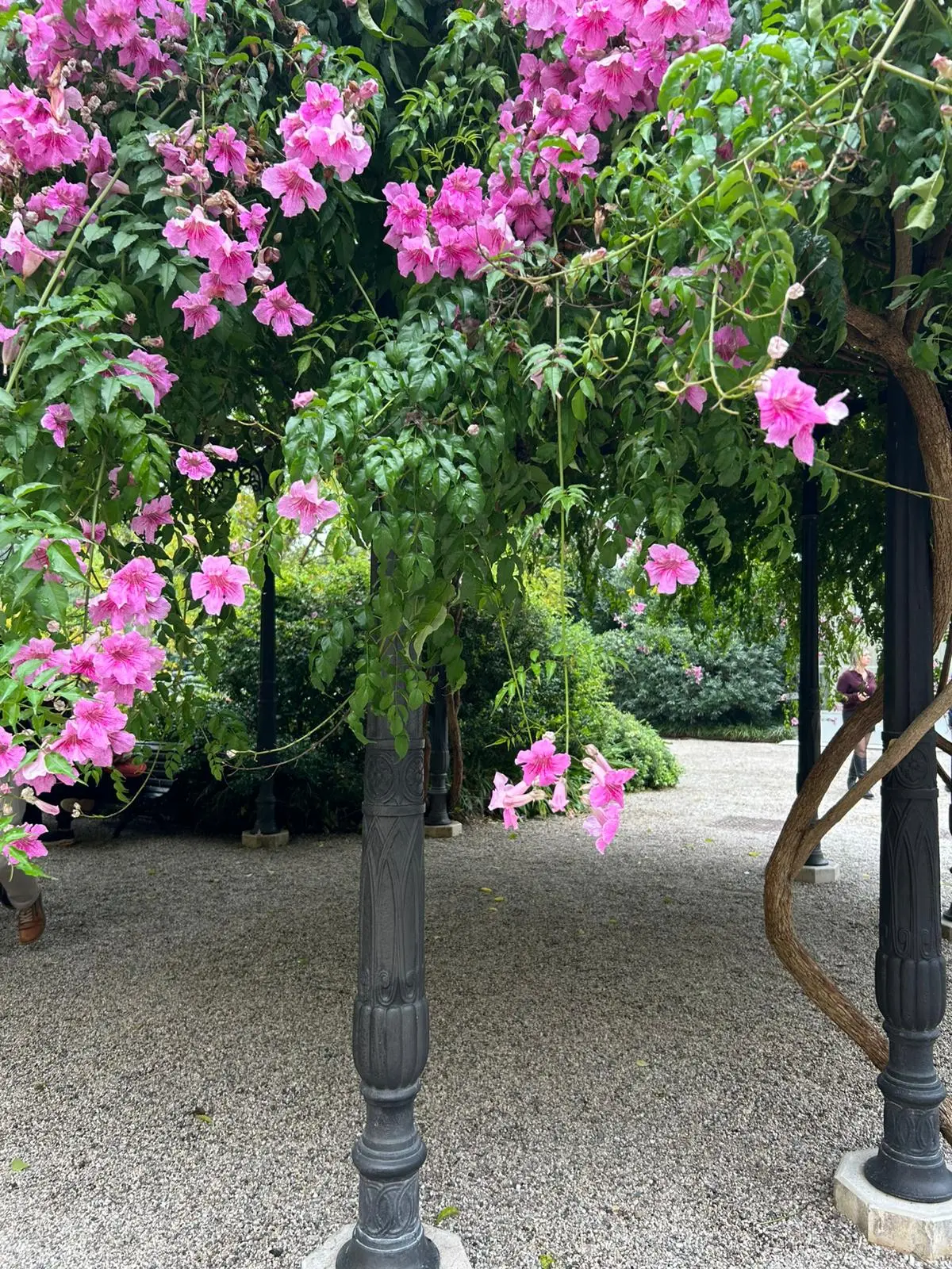 contentid/d67e1426-a522-4534-8cbe-32a7829ce2ba