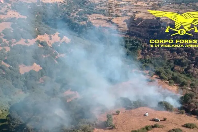 Un incendi a Santu Lussurgiu