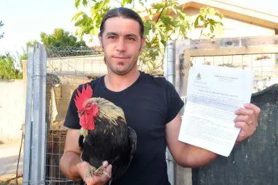Michele Manca con il gallo 'trasgressore' - foto Cucca