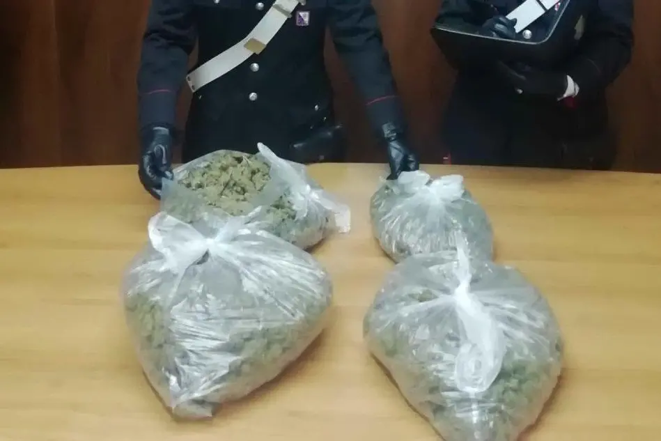 La marijuana (foto carabinieri)