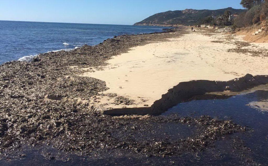 Un'altra immagine della spiaggia di Santa Margherita speditaci dalla nostra lettrice Linda Corrias (11.06.17)