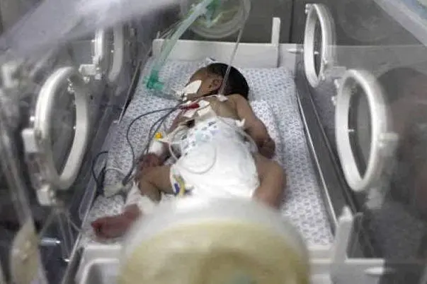 La neonata palestinese