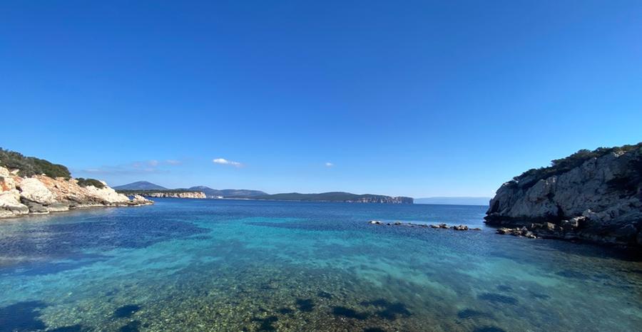 È Giulio Plastina il nuovo direttore del Parco di Porto Conte