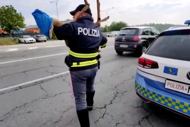 Polizia stradale (foto Ansa)