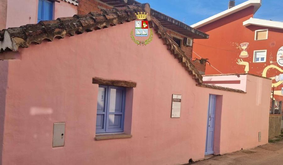 Gli insetti invadono Sa Domu beccia