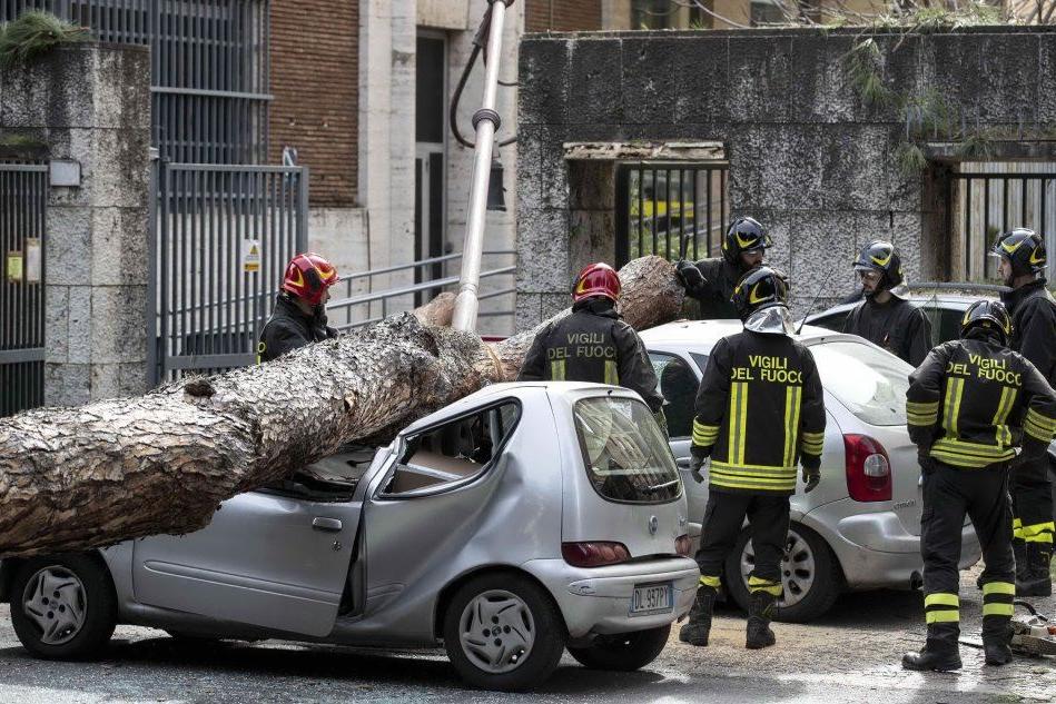 Roma, cade un albero sulle auto: due feriti gravi