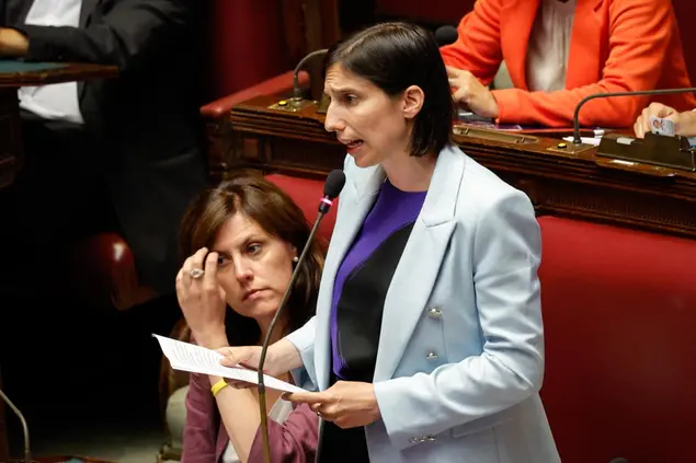 Elly Schlein (Ansa)