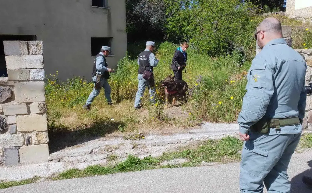 Il nucleo cinofili antiveleni del Corpo Forestale (foto L'Unione Sarda - Pintori)