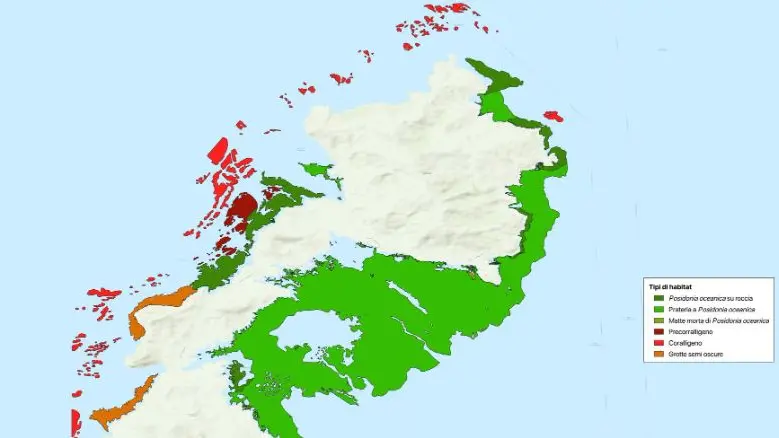 https://immagini.unionesarda.it/version/c:YzI2MmRkZTQtYzQ2ZC00:ZDdhZjRlNGMtNDdhNy00/image.webp?f=16:9