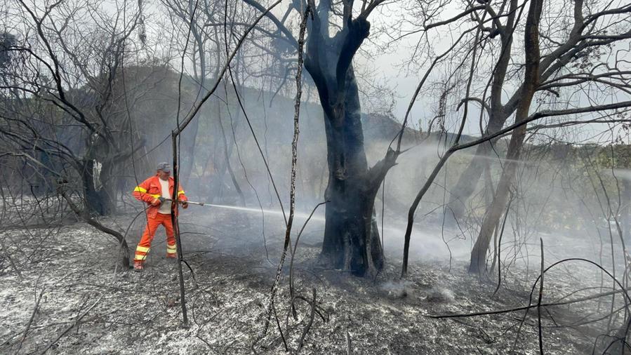 Η Σαρδηνία καίγεται: πορτοκαλί συναγερμός στην περιοχή Κάλιαρι.  Φτάνουν τέσσερα Canadair από Γαλλία και Ελλάδα
