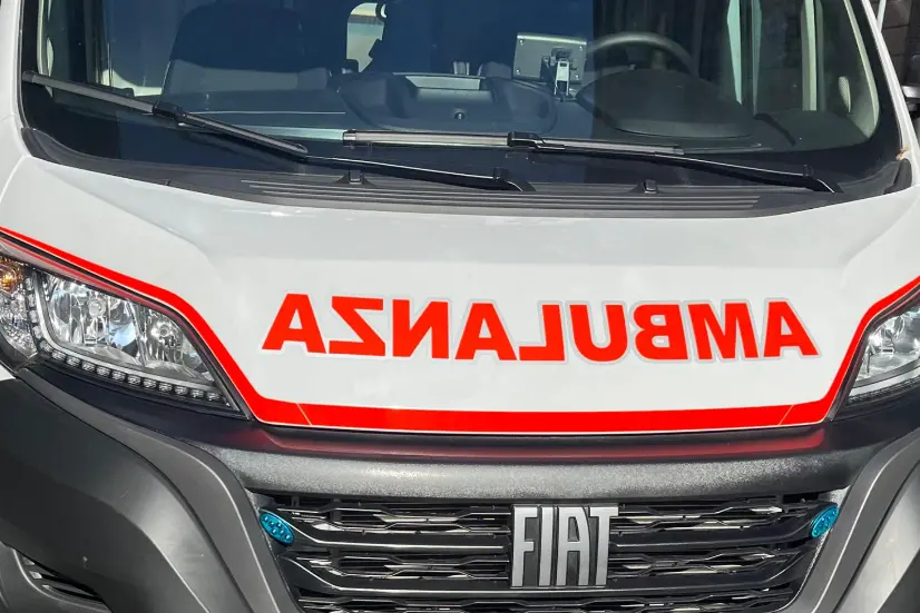 (Ansa)