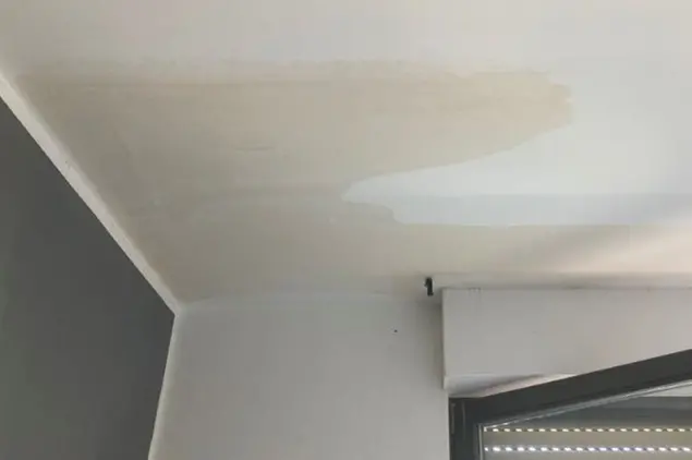 Infiltrazioni sul soffitto della casa (foto Pala)