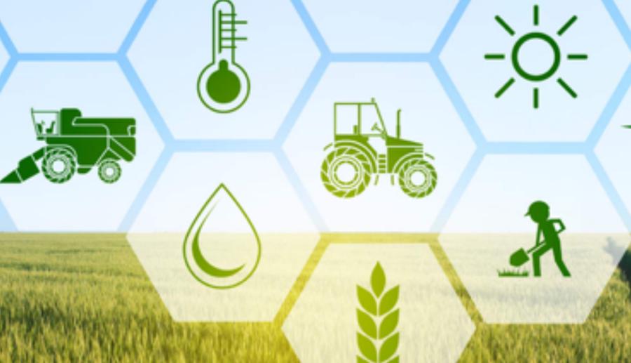 Agricoltura, tax credit sul gasolio non per serre e agromeccanica
