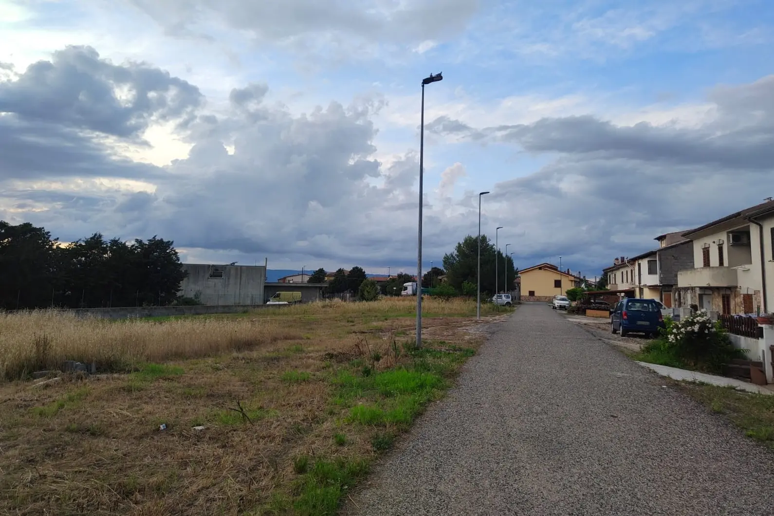 Un'area verde degradata a Ozieri (foto Tellini)