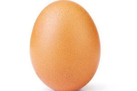 L'uovo postato su Instagram