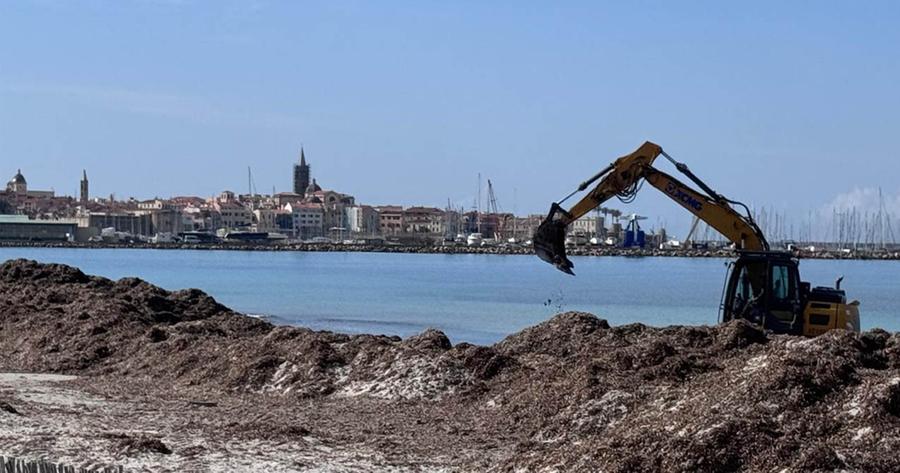 Barriere di posidonia tra il mare e la città