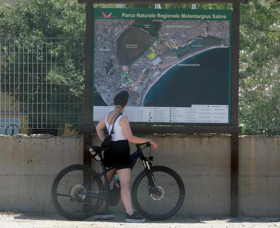 Miele, olio e  sale nell’oasi cittadina che batte ogni record