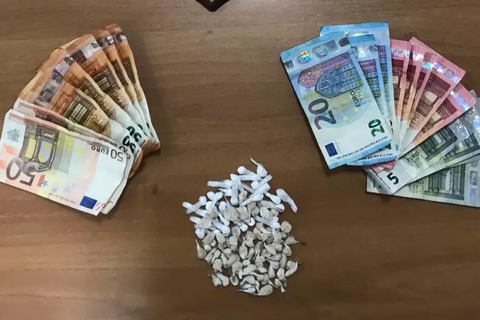 Il materiale finito sotto sequestro (foto carabinieri)