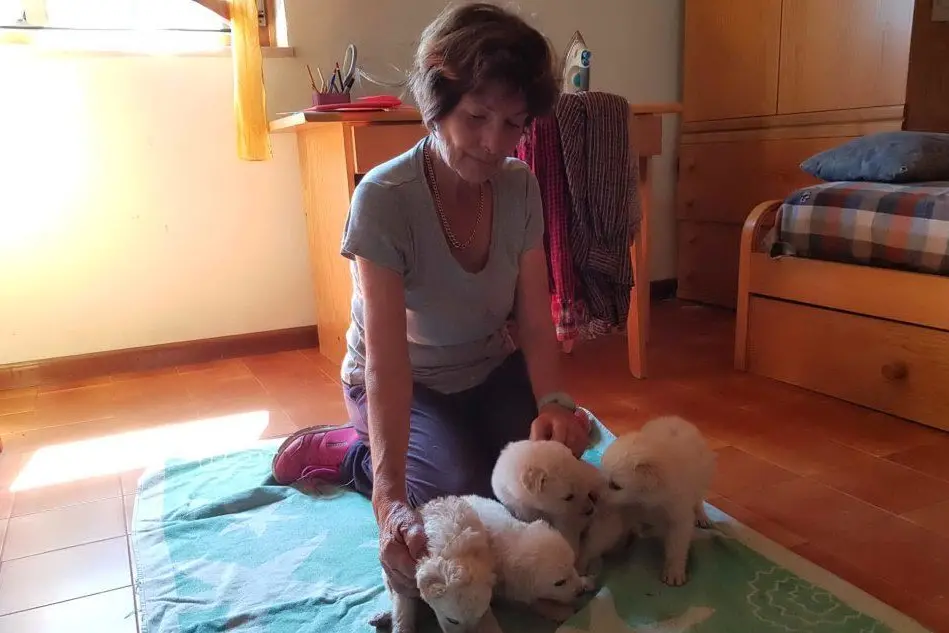 Pierina Zaccheddu, 73 anni, con i cuccioli salvati (foto Oggianu)