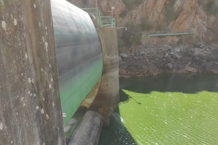 Gli impianti nella Bassa valle del Coghinas (foto concessa)