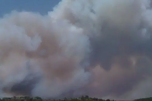Fiamme nell'Oristanese: foto di Marco Porta