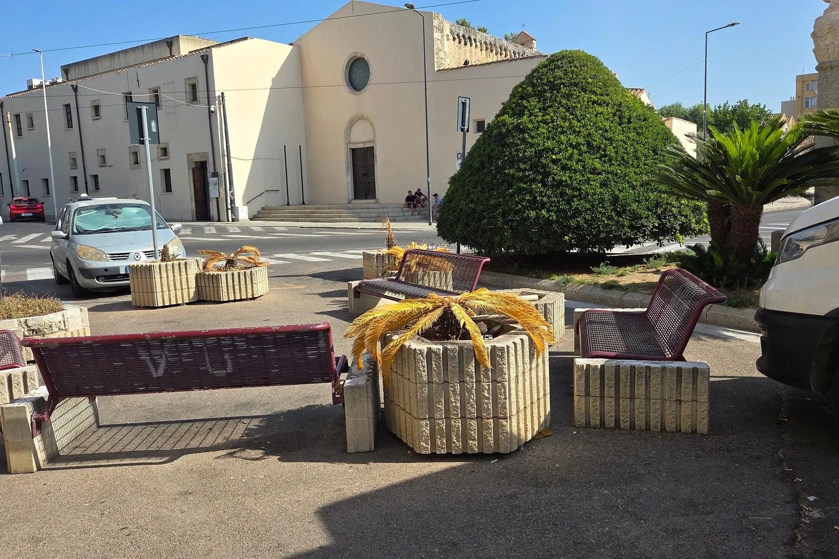 Le palme in piazza Azuni (foto Daga)