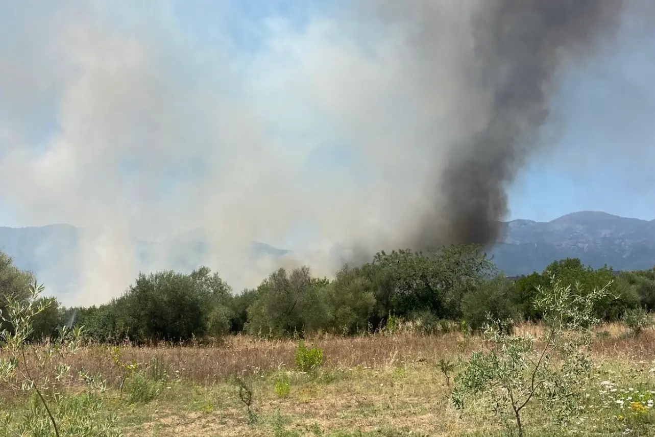 L'incendio nel territorio di Triei