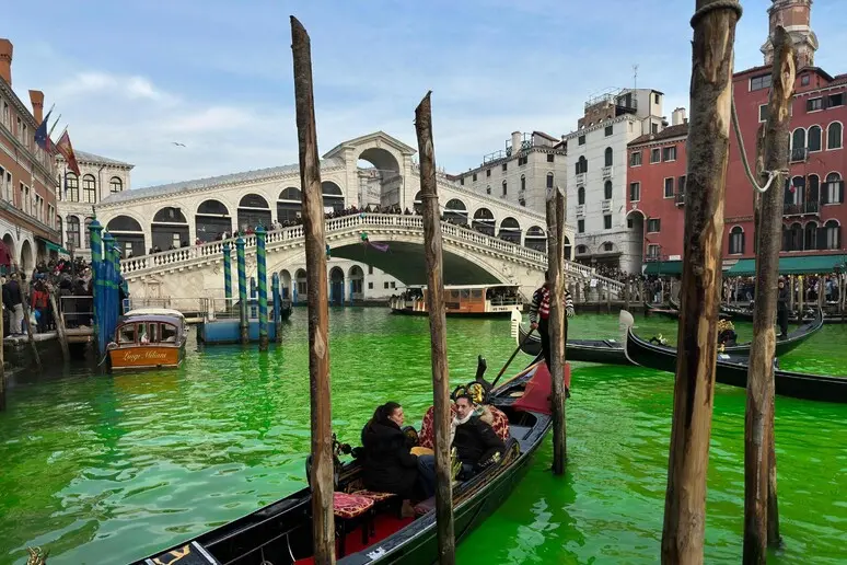 Le acque del Canal Grande tinte di verde (foto Ansa)