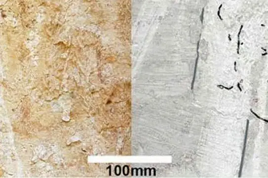 A sinistra il dettaglio del dipinto e, a destra, una ricostruzione (Ansa via Dror Maayan, Antiquity)