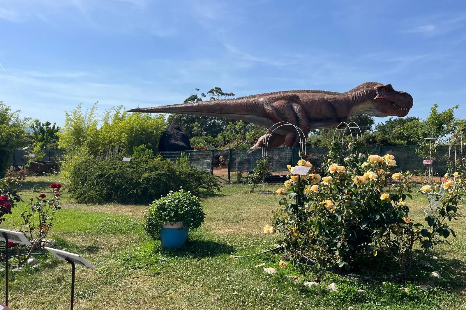 Il T Rex (foto Orbana)
