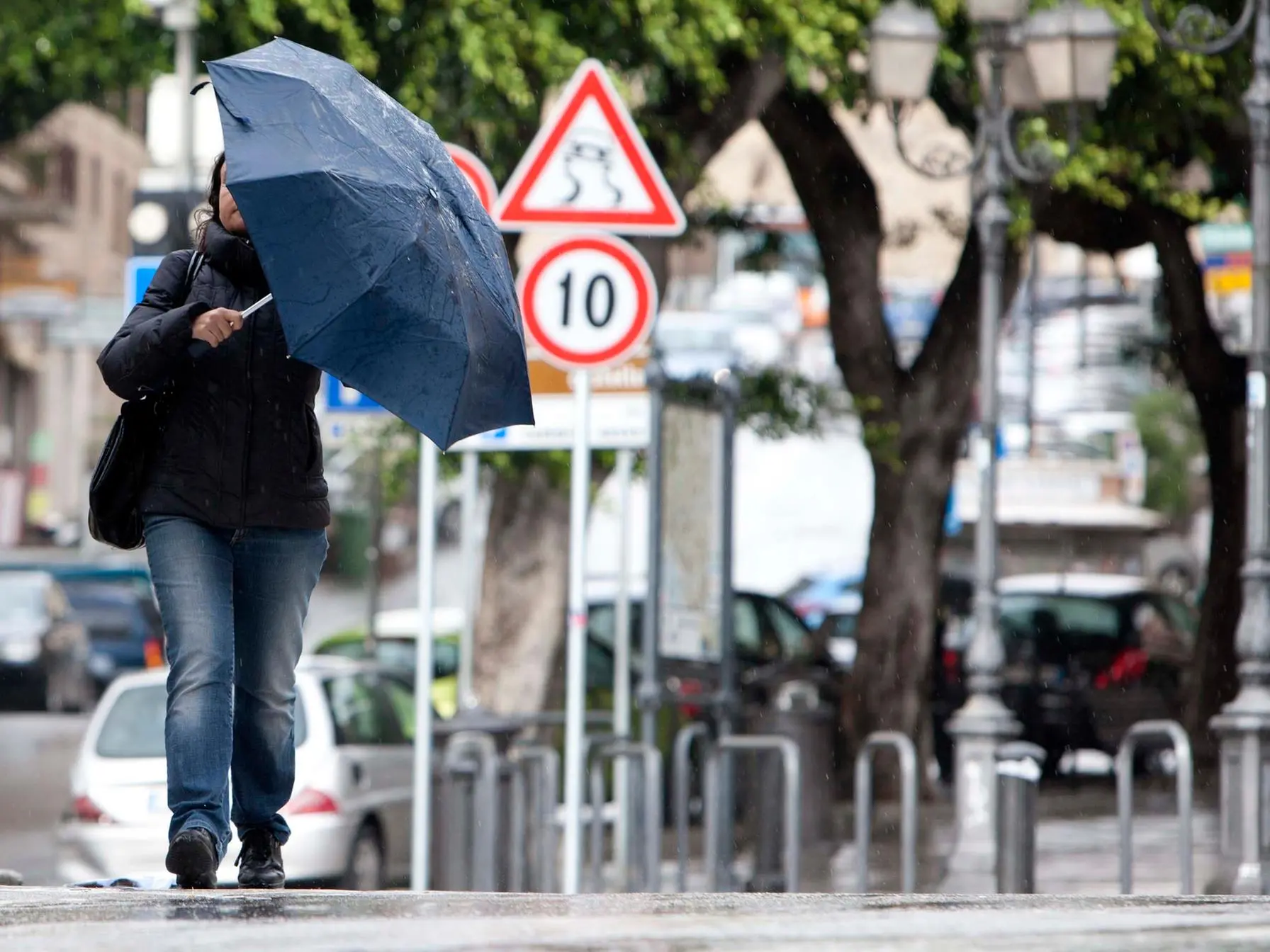 (foto Giuseppe Ungari)