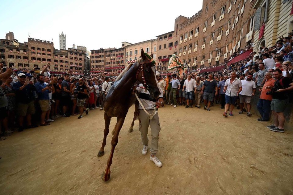 A Sedilo non solo Ardia: tre cavalli plurivincitori al Palio di Siena
