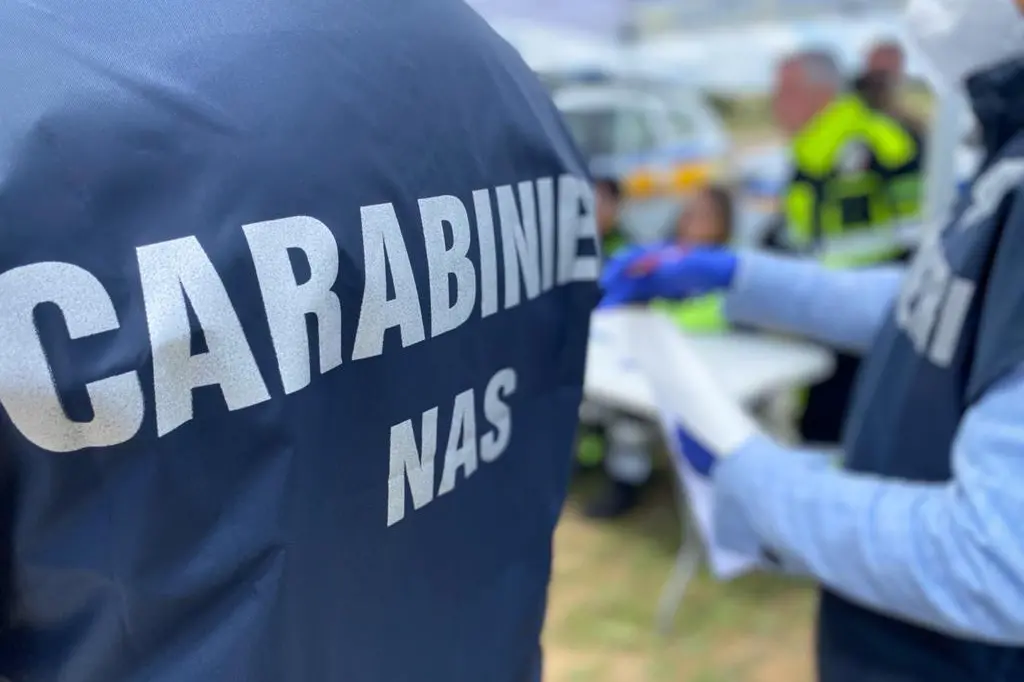 I carabinieri del Nas (Archivio)