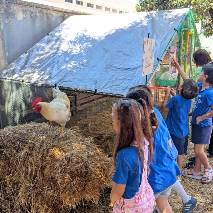 Apre la fattoria dei piccoli allevatori