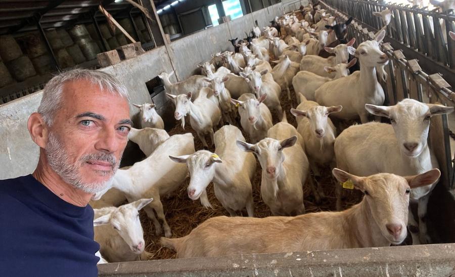 “Sardegna Verde”