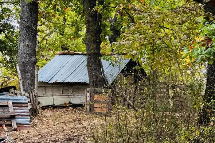 La casa nel bosco a Palmoli dove vivono Nathan Trevallion e Catherine Birmingham a cui oggi il Tribunale per i minorenni di L'Aquila ha disposto la sospensione della potestà genitoriale dei tre figli minori, fra i 6 e gli 8 anni, che vivono con loro in un rudere fatiscente e privo di utenze e in una roulotte in provincia di Chieti. Disposto anche l'allontanamento dei bambini dalla dimora familiare e il loro collocamento in una casa famiglia e nominato un tutore provvisorio dei minori, l'avvocata Maria Luisa Palladino. ANSA/ANTONELLA SALVATORE