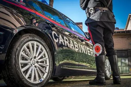 Ucciso nel Bolognese (foto simbolo Ansa Carabinieri)