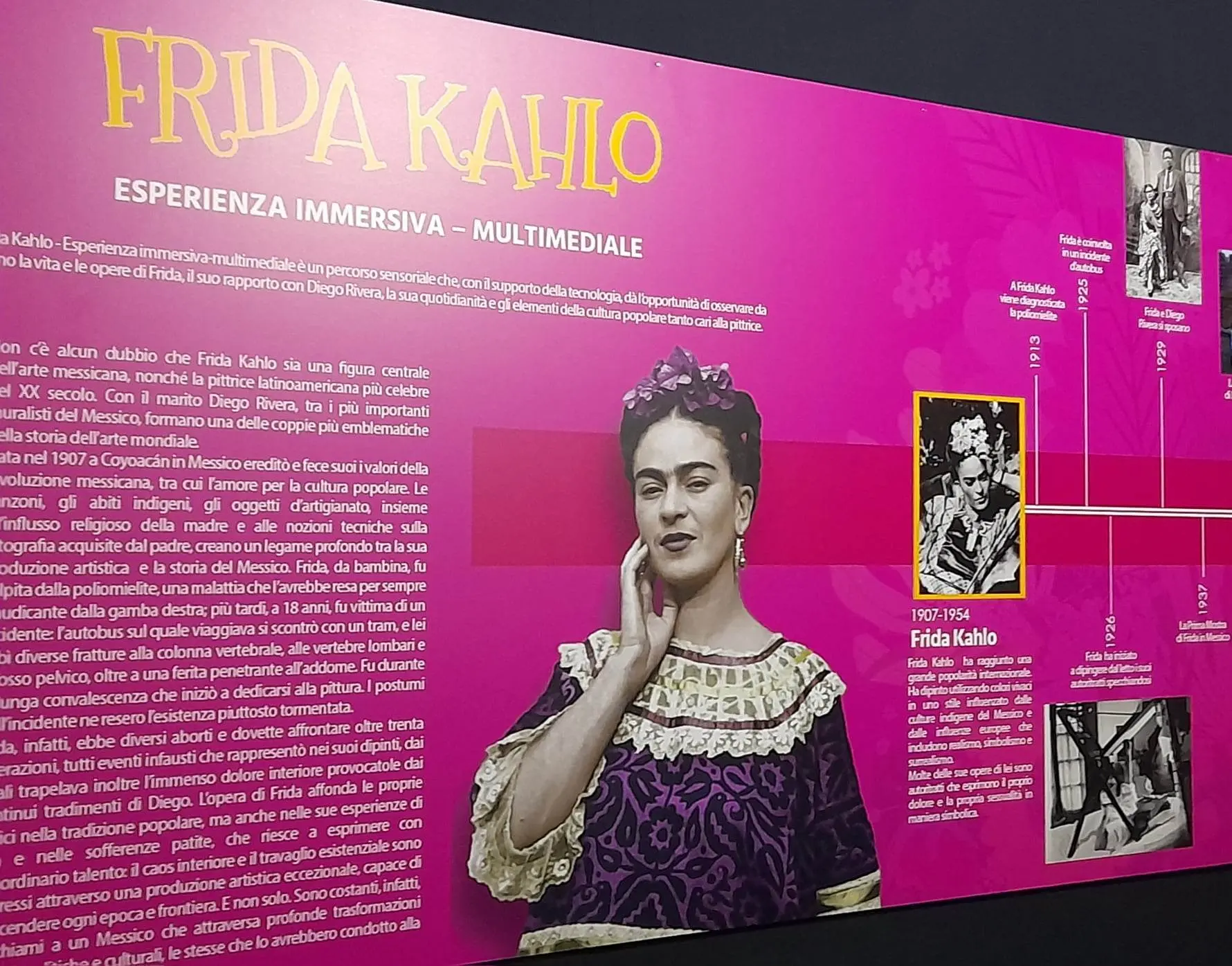 Il pannello di presentazione della mostra (foto Dui)