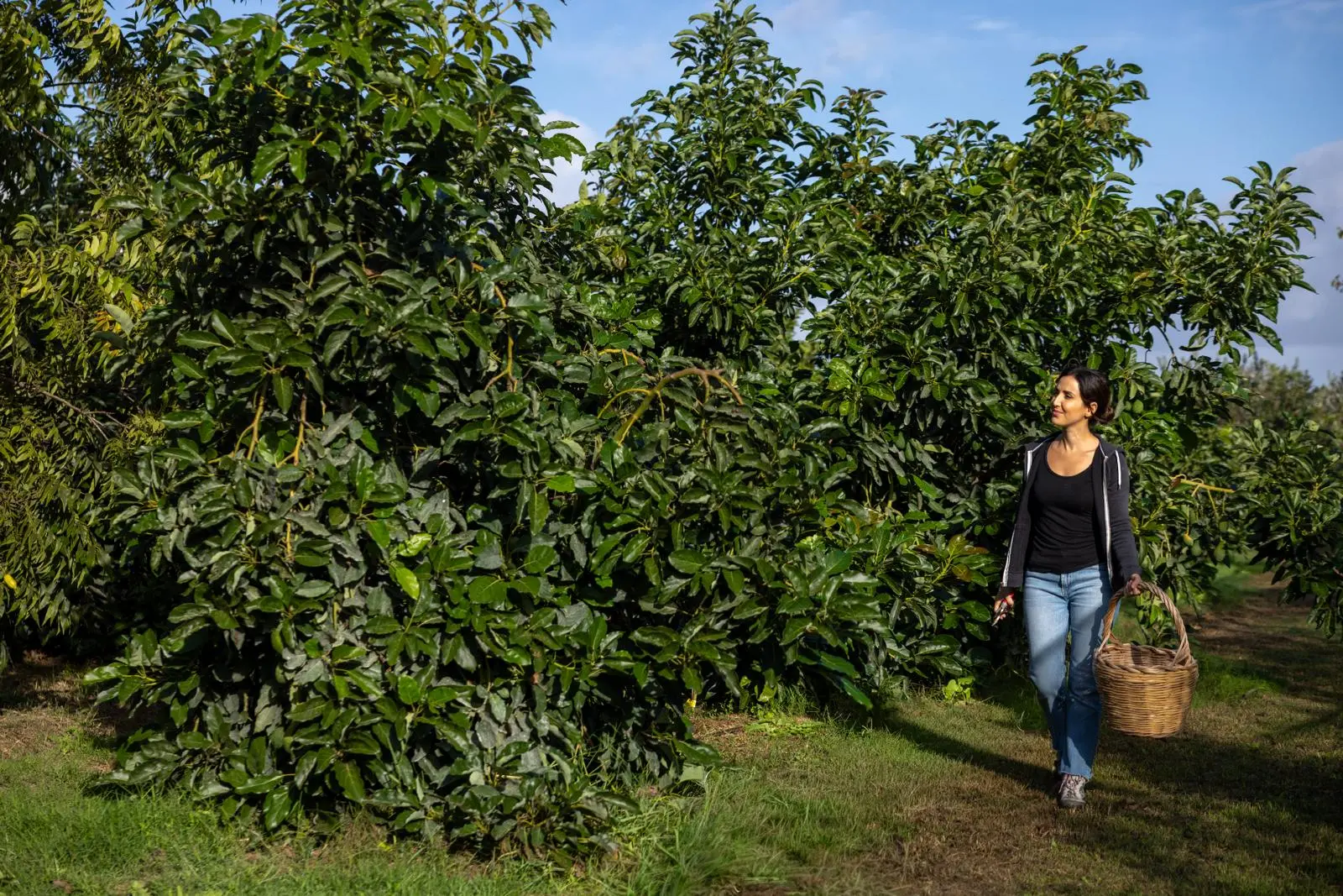 contentid/dec8abef-2bef-4522-ba5f-dafa9f50cb1b