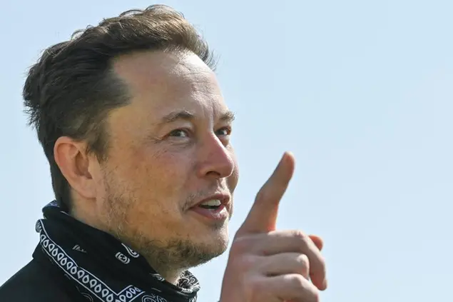 Elon Musk (Ansa)