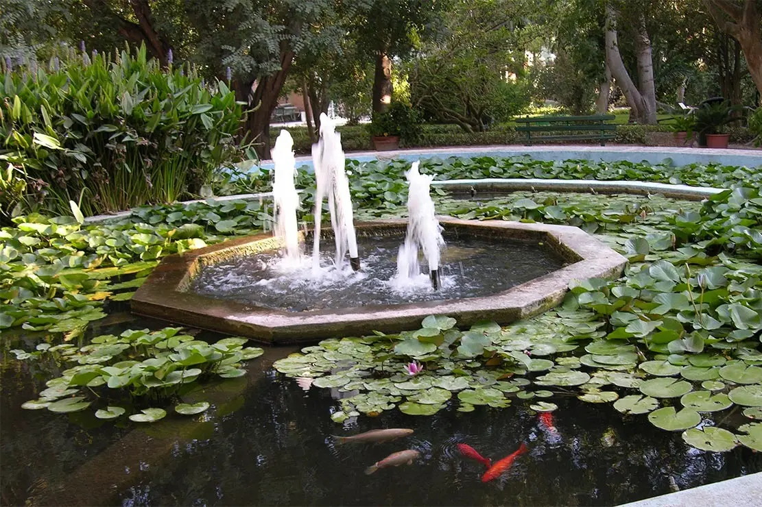 Orto botanico (archivio L'Unione Sarda)