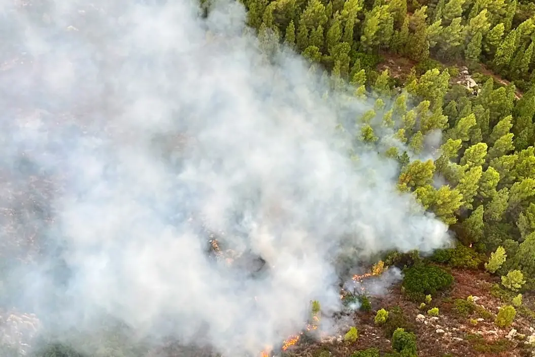 L'incendio a Lodè. Foto Corpo Forestale