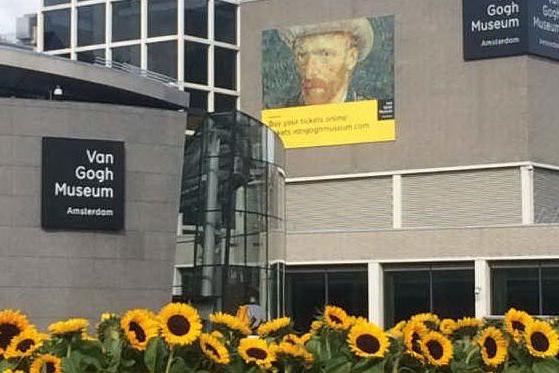 Tappeti gialli e girasoli, riapre il Van Gogh Museum