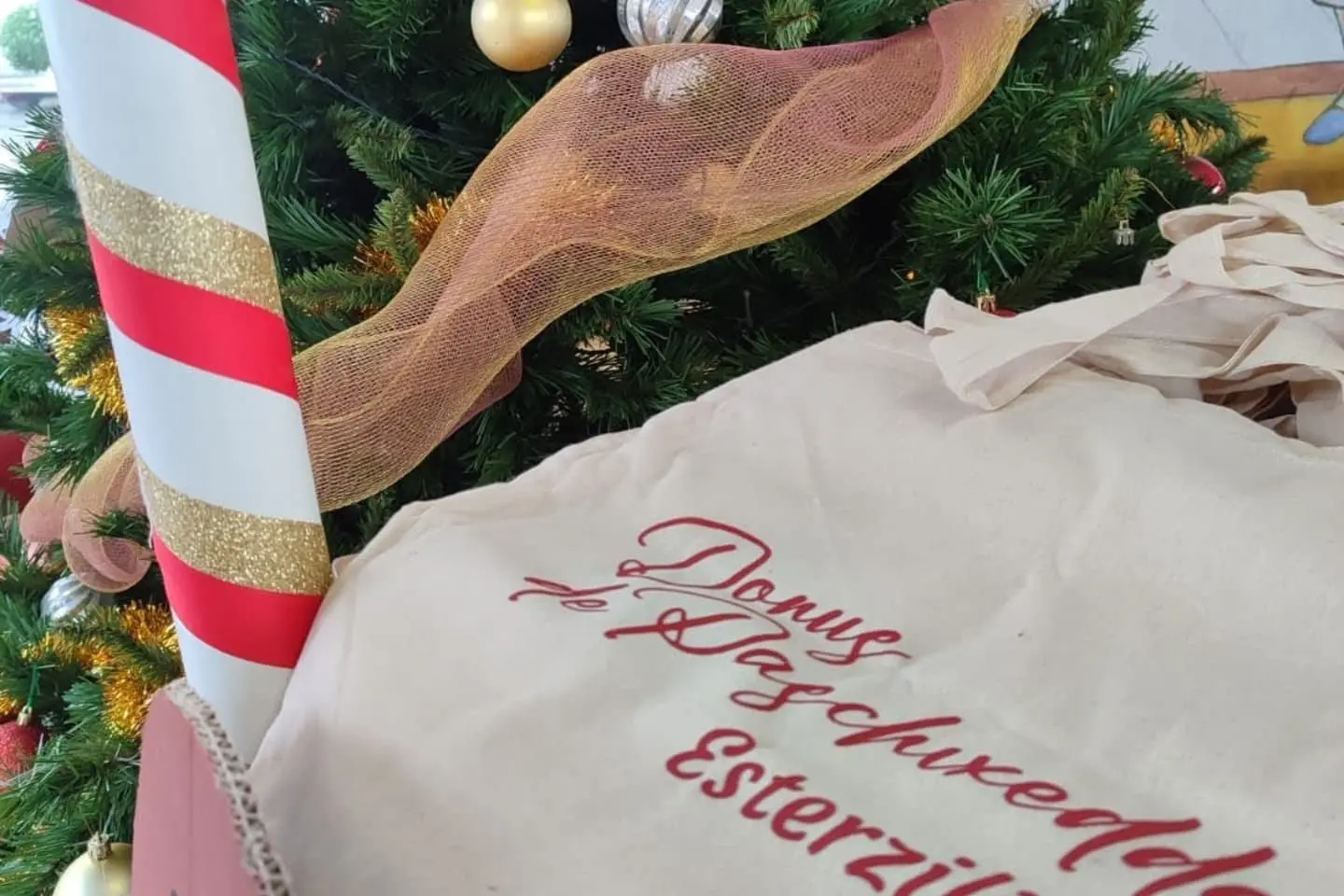 Donus de Paschixedda